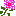 フラワー
