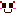 にこ♥