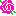 薔薇