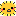 ぴよこ