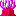 いそぎんちゃく1