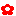 花１０
