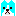 犬