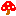 キノコ