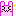 ウサギ