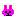 うさぎぃ