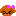 わんこ