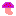 きのこ