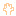 手