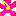 ハイビスカス
