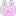 うさぎ