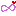 ∞＊