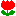 チュ?リップ