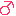 女