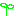 芽