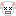 犬