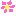 桜草