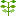 ぺんぺん草