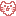 ネコ