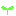 つぼみ