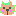にゃんこ