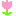 ちゅーりっぷ