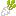 すぐき