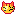 ねこ　怒る