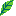 葉っぱ