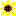 ひまわり