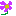 お花