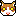 猫01