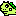 iguana