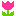 りぼん