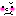 顔