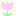 チューリップ★