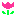 hhdfhiifa