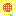 ひまわり