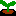 苗