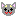 チワワ