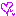 パープルハート