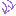 ↓↓