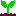 芽