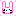 春うさぎ