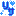 リサ
