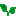 バジル