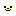 長毛ホワイトベア