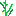 稲