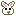 ミニウサギ