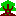 樹